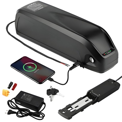 Batteria bici elettrica 48v